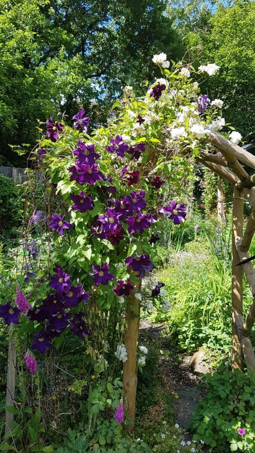 Yr Hen Farcdy Bed & Breakfast Talsarnau Bagian luar foto